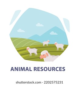 Natural Resource With Animals Grazing On Green Pasture Hexagonal Shape Picture Vector Illustration