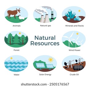 Natural resources. Set of natural resources icons on white background. Science educational banner. Vector simple flat illustration. Eco bio theme elements	
