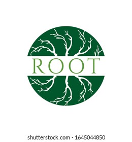 natural roots circle logo design vector