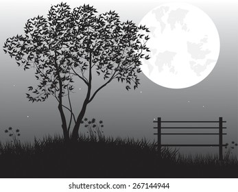 Natural scene with silhouette of tree against moon