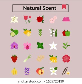 Natural scent, flowers and herbs flat design icon set.