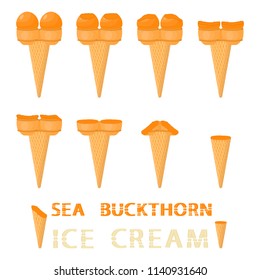 Natural sea buckthorn ice cream sorbet in different forms. Sea Buckthorn pattern consisting of sweet cold ice cream sorbet tasty frozen dessert. Fresh taste fruit ice cream sorbet from sea buckthorn.