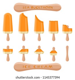 Natural sea buckthorn ice cream sorbet in different forms. Sea Buckthorn pattern consisting of sweet cold ice cream sorbet tasty frozen dessert. Fresh taste fruit ice cream sorbet from sea buckthorn.