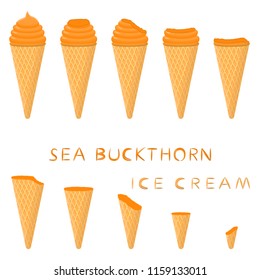 Natural sea buckthorn ice cream sorbet in different forms. Sea Buckthorn pattern consisting of sweet cold ice cream sorbet tasty frozen dessert. Fresh taste fruit ice cream sorbet from sea buckthorn.