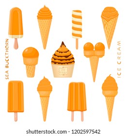 Natural sea buckthorn ice cream sorbet in different forms. Sea Buckthorn pattern consisting of sweet cold ice cream sorbet tasty frozen dessert. Fresh taste fruit ice cream sorbet from sea buckthorn.