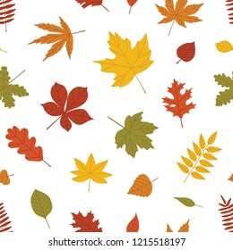 Natural seamless pattern with autumn fallen leaves of forest trees on white background. Bright colored botanical seasonal vector illustration in flat style for wrapping paper, wallpaper, fabric print.