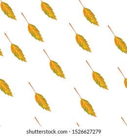 Natural seamless pattern with autumn fallen leaves of forest trees on white background.