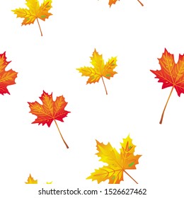 Natural seamless pattern with autumn fallen leaves of forest trees on white background.