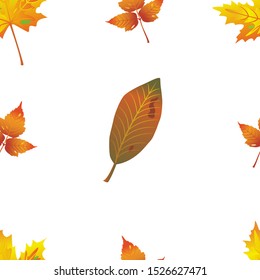 Natural seamless pattern with autumn fallen leaves of forest trees on white background.