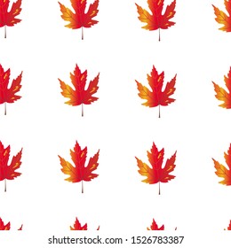 Natural seamless pattern with autumn fallen leaves of forest trees on white background.