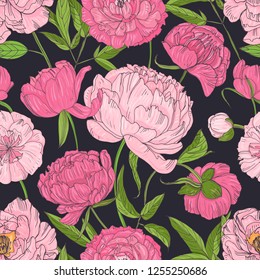 Natural seamless pattern with blooming pink peonies on black background. Backdrop with blossoming garden flowers. Botanical vector illustration in antique style for textile print, wrapping paper.