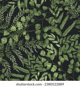 Natural seamless pattern with ferns and green herbaceous plants on black background. Gorgeous backdrop with wild forest herbs. Elegant botanical vector illustration for wrapping paper, textile print