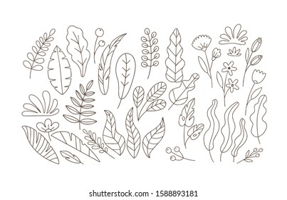 Natural seamless pattern with florals for cotton, wallpaper design. Vector summer, spring ornament with flowers and leaves. Childish doodle backdrop.