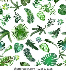 Natural seamless pattern with green, diverse, diversiform,tropical leaves or scattered exotic foliage of jungle plants on white background. Hawaiian background. Plant botanical vector illustration for