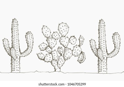 Natural seamless pattern with hand drawn  cactus. Blooming Mexican desert plants. Botanical vector illustration for backdrop, wrapping paper, textile print, wallpaper.