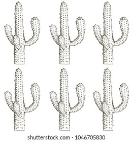 Natural seamless pattern with hand drawn  cactus. Blooming Mexican desert plants. Botanical vector illustration for backdrop, wrapping paper, textile print, wallpaper.