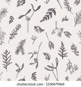 Natural seamless pattern with leaves, seeds, conifers and berries. Winter background with plants. Vector illustration. Black and whit