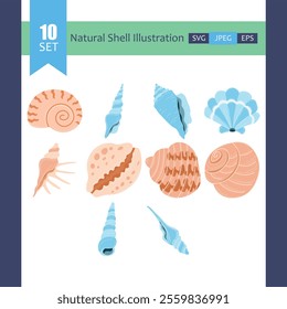 Natural Seashell Clipart Bundle Illustration