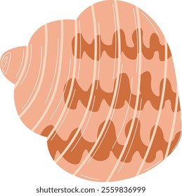 Natural Seashell Clipart Bundle Illustration