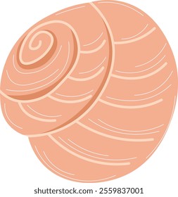 Natural Seashell Clipart Bundle Illustration