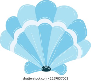 Natural Seashell Clipart Bundle Illustration