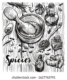 natural seasonings, oils and spices. set of freehand sketches