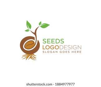 Natural seed vector logo design, colorful seeds vector design