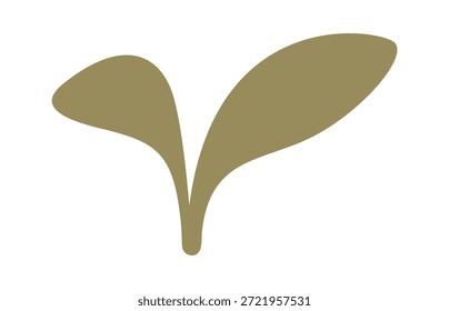 Plántula natural creciendo elemento boho