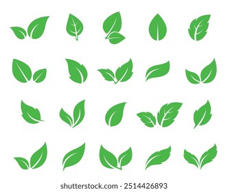 natural set of abstract isolated green leaves icons, eco signs and label, plant branches, twigs tea and natural sprigs silhouettes on white background