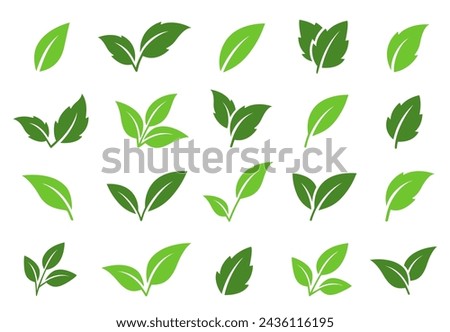 natural set of abstract isolated green leaves icons, environmental signs and label, plant branches, twigs tea and natural sprigs silhouettes on white background