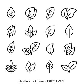 natural set linear leaves and branches icons