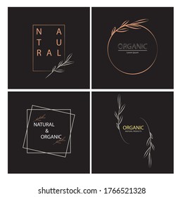 Natural set with a luxurious black background