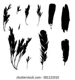 Natural silhouettes feathers, bark, tree seeds