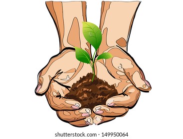 natural small tree on the hand icon