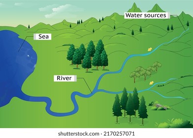 Natural sources of water - the water cycle in nature