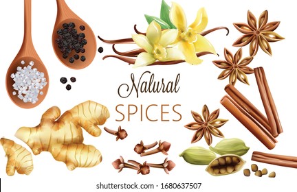 Natural spices composition with salt, black pepper, ginger, cinnamon sticks and vanilla