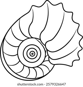 Natural spiral shell fossil vector illustration for coloring