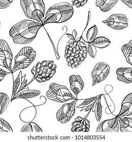 Natural St Patricks Day seamless pattern with sketch shamrock and four leaf clover on white background vector illustration