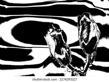 trabajo de vector de flores de fresa natural