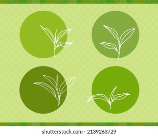 Natural style matcha tea leaves. Hand drawn pattern on Japanese style background texture