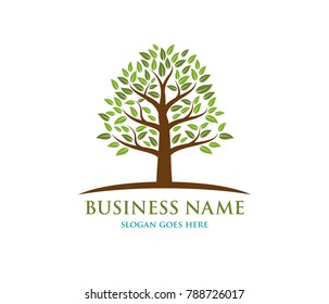 natural succession green forestry with horizon tree logo 