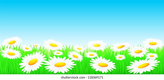 natural summer background with flowers, sky and sun