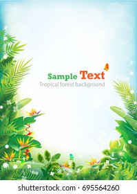 natural summer backgrounds vectors