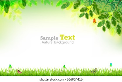 Natural summer vectors