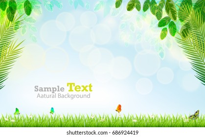 Natural summer vectors