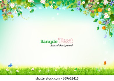 Natural summer vectors