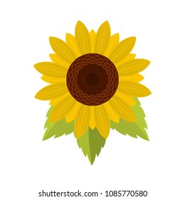 Natural sunflower icon. Flat illustration of natural sunflower vector icon for web