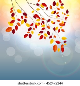Natural Sunny Autumn Leaves Background Vector Illustration EPS10