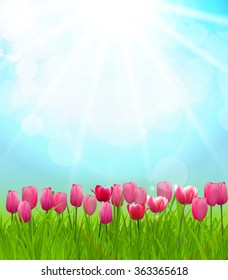 Natural Sunny Background Vector Illustration EPS10