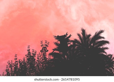 natural sunset background behind the silhouette of trees